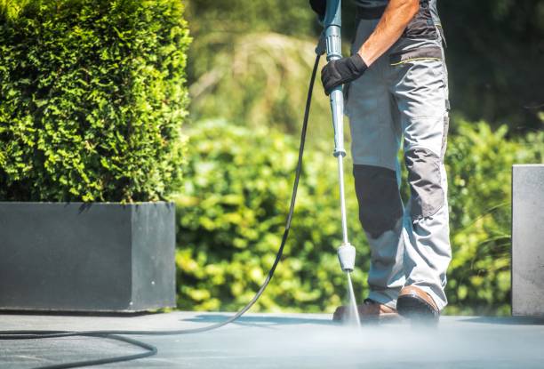 Best Animal Enclosure Cleaning  in Enid, OK